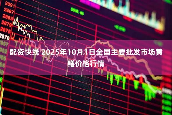 配资快线 2025年10月1日全国主要批发市场黄鳝价格行情