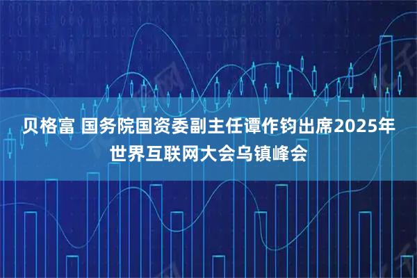 贝格富 国务院国资委副主任谭作钧出席2025年世界互联网大会乌镇峰会