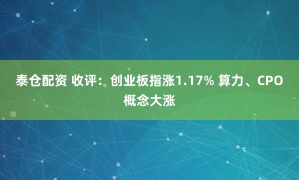 泰仓配资 收评：创业板指涨1.17% 算力、CPO概念大涨